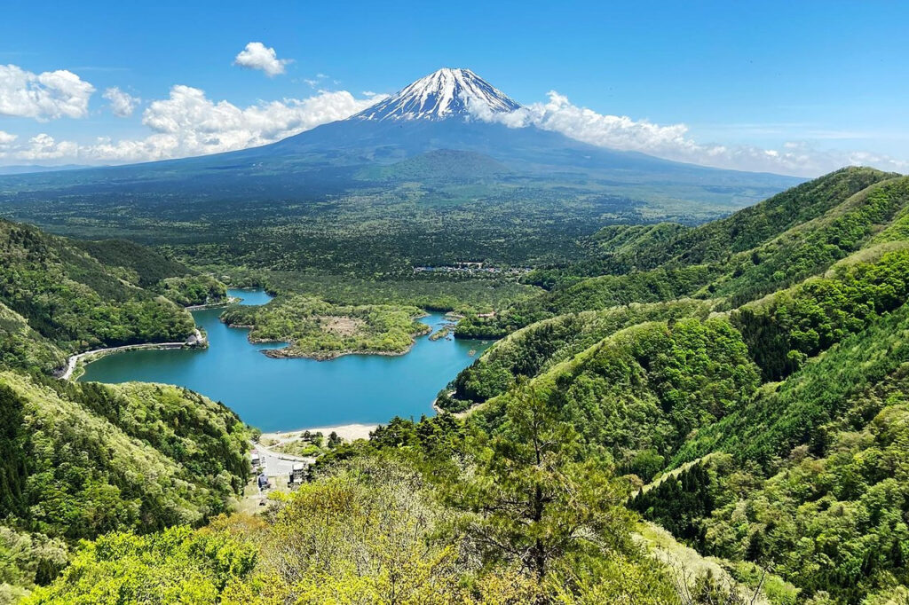 Aokigahara è una foresta giapponese conosciuta anche come "mare di alberi" ed è tristemente nota per essere teatro di molti suicidi.